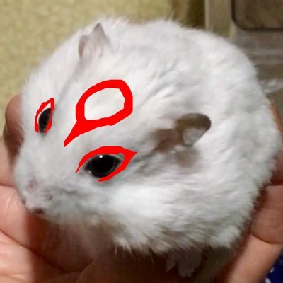 アマネとハム's profile picture