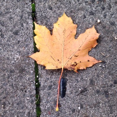 ajmins202's profile picture