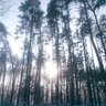 Фото профиля злий синій та жовтий