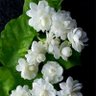 Фото профиля Est