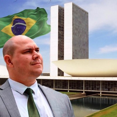 abiliobrunini's profile picture