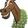 Profilbild von LiveHorses1