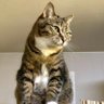 ヒロ profil fotoğrafı