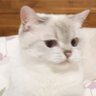 c's profile picture