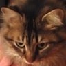 Tzar83's profile picture