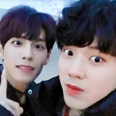 도필 저장소's profile picture