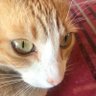 LEYENET1975 (PNPC10)'s profile picture