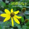 ดอกทานตะวัน🌻's profile picture