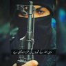 Profilbild von Muhammad Amin