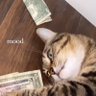 Profilbild von ÇïŁáňţŕø