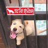 เด็กวันมะรืน's profile picture