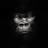 Pedro Flanagan's profile picture