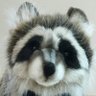 じゃも's profile picture