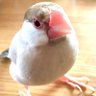 Фото профиля そらのよう