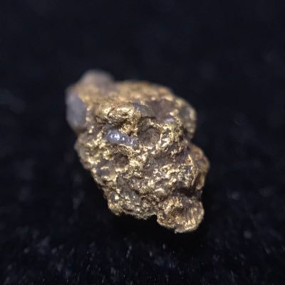 趣味の砂金採り's profile picture