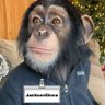 JacksonSinca's profile picture