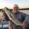 Pamela Lippert's profile picture