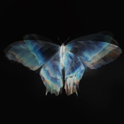 ٓ's profile picture