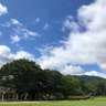 ゆき 的头像