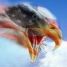 Phil Point 🐸 51st 🇺🇸 的头像