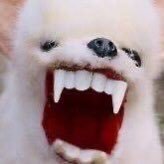 kanakawa12's profile picture