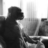MicaMica profil fotoğrafı