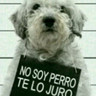 Фото профиля *Cachorro sin Dueña*
