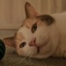 Profilbild von Gabriel