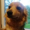 Profilbild von laroxPL