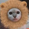 Profilbild von uci di sini