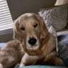 Leslie Calhoun's profile picture