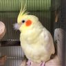 Фото профиля まるこ