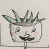 Pilkin's profile picture