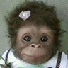 Profilbild von Simon Joe