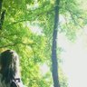 hikaruchen296's profile picture