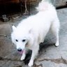 Precious profil fotoğrafı