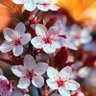 Фото профиля Won Smith