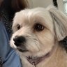 Profilbild von Carmela Norcross