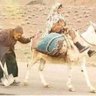 MAHDI BEN profil fotoğrafı