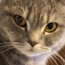 maomi2 profil fotoğrafı