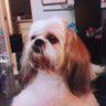 Irma G. profil fotoğrafı