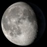 moonchild's profile picture