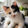 TS profil fotoğrafı