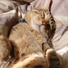 ノータッチRIN profil fotoğrafı
