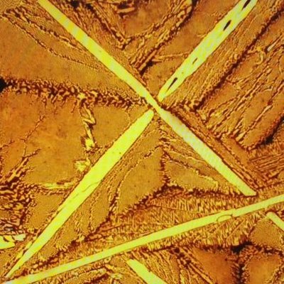 heiertu_'s profile picture