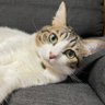 くるみコ's profile picture