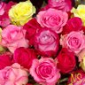 K感謝358🌈🌷🌹's profile picture