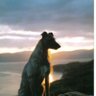 ELR's profile picture