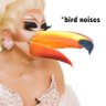 *bird noises*'s profile picture