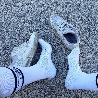 GuyJocks's profile picture